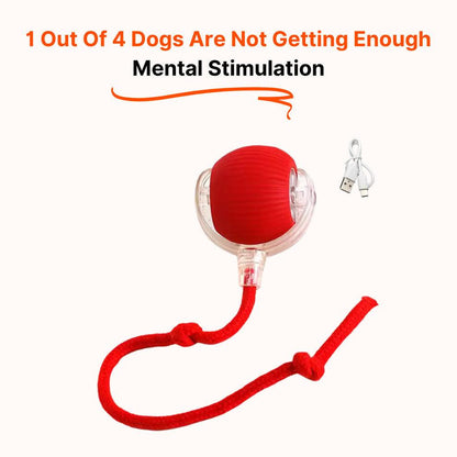 PawPath™ Smart Interactive Dog/Cat Toy